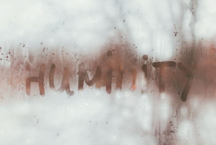 潮濕是如何造成空氣污染的？